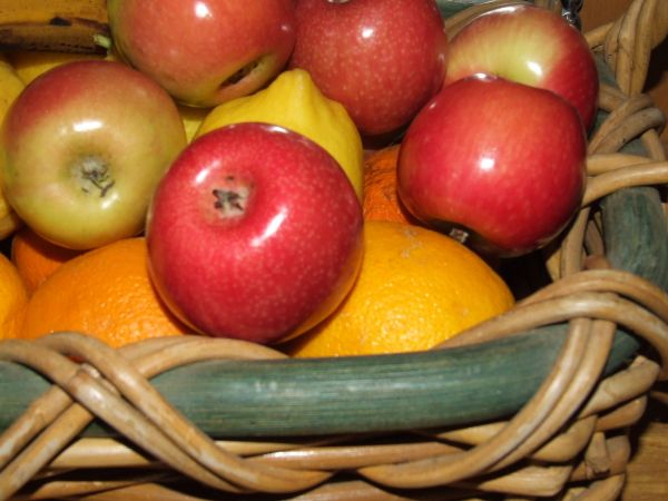 basket & fruit